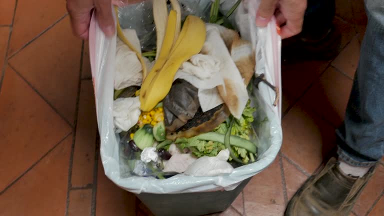 Best Hoarding Cleanup  in Iron River, MI